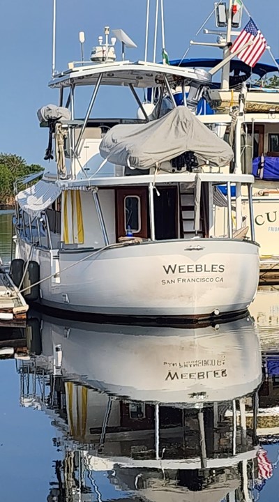 Weebles Stern Chiapas.jpg