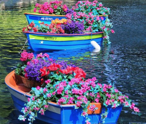 BoatFlowers.jpg