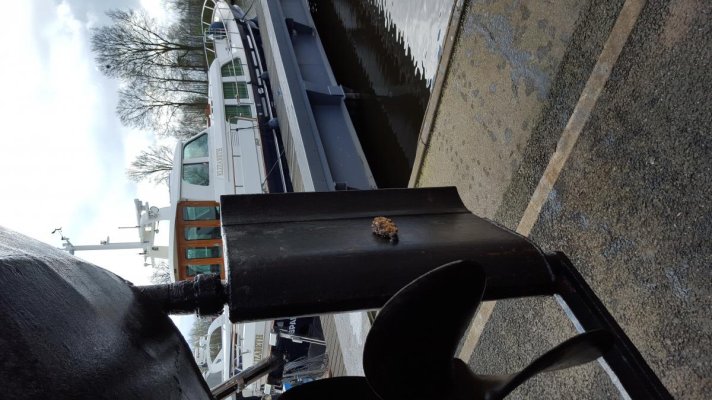 Libra rudder 2.jpg