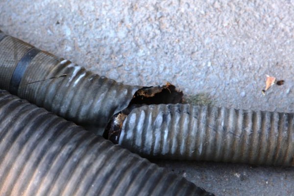 Rotten Generator exhaust hose.jpg