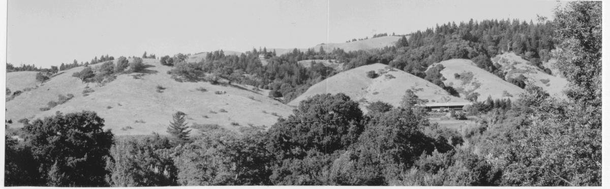 Valley pict - San Geronimo Golf Club Blding inc..jpg