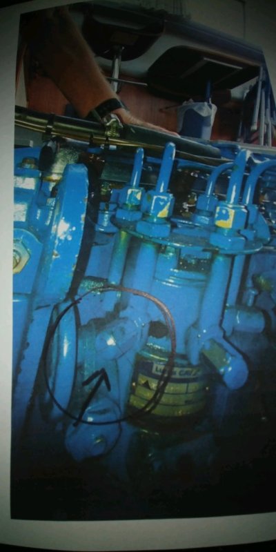 Perkings Injector pump.jpg