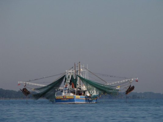 Shrimp Trawler.jpg