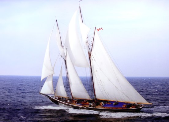 bluenose 2.jpg