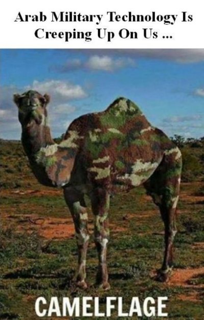 Camelflage.jpg