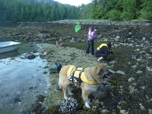 Beach explore.jpg