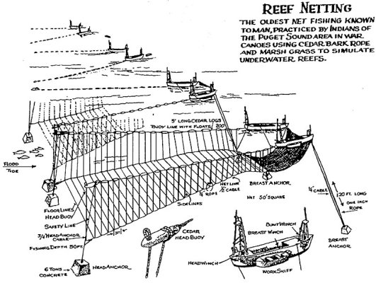 reefnetdiag.jpg