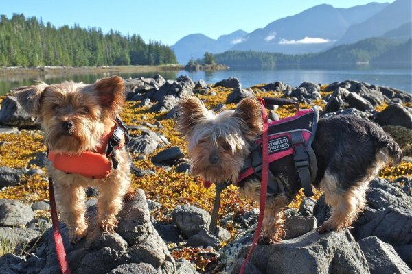 Dawin & Mabel, Barnard Harbour.jpg