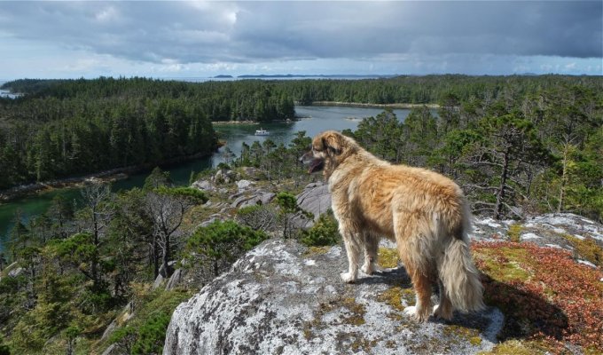 Zain, McMicking Inlet overlook.jpg