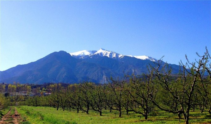 CANIGOU.jpg