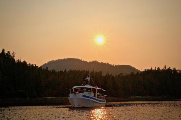 Badger at Sunset.jpg