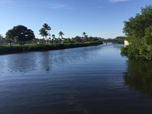 Up the creek at Boca Grande.jpg