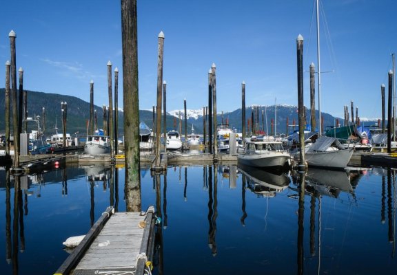 Low Tide, MK Bay.jpg