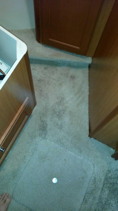 Carpet 1.jpg