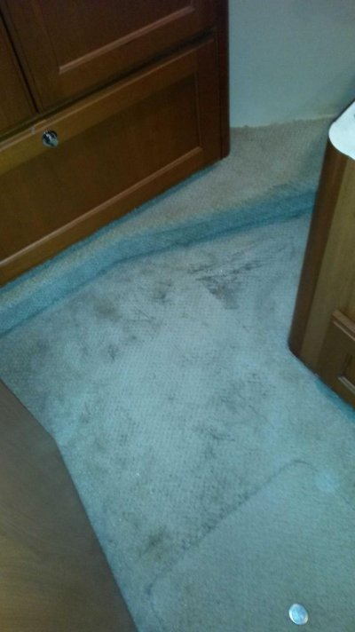 Carpet 2.jpg