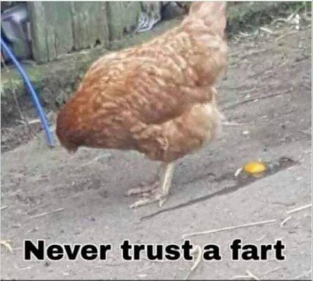 Fart.jpg