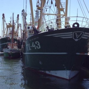 obelikx with his big brothers

recently some days in a local fishing port