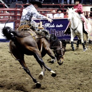 PRCA Rodeo - Kansas City, Mo.