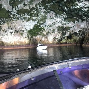 inside Riko Riko cave, Poor Knight Is, East Coast New Zealand