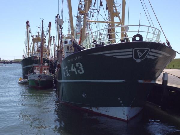 obelikx with his big brothers

recently some days in a local fishing port