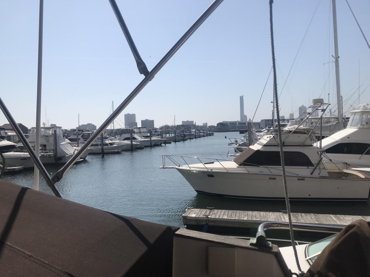 Part of the view of the city from the boat. The new Ocean Club in the background.