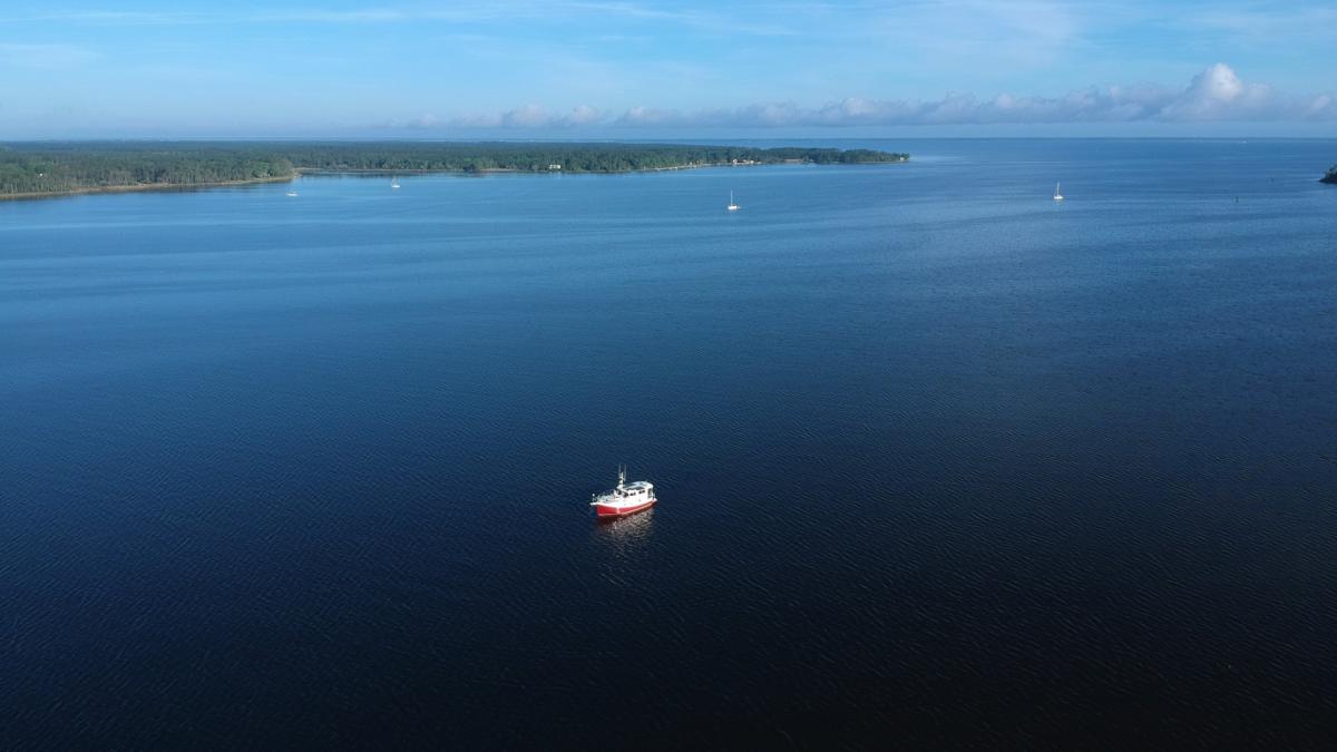 Scout Anchored South River