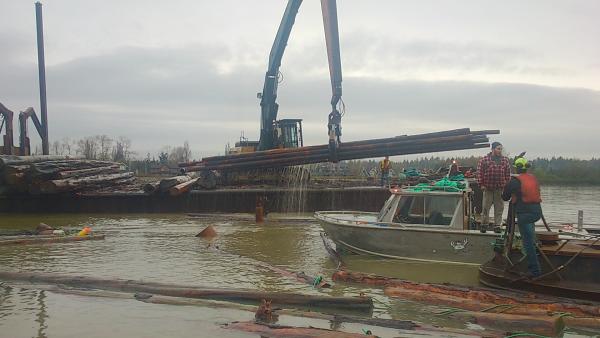 Watching logs being loaded with MV Nitro North arm Fraser River.