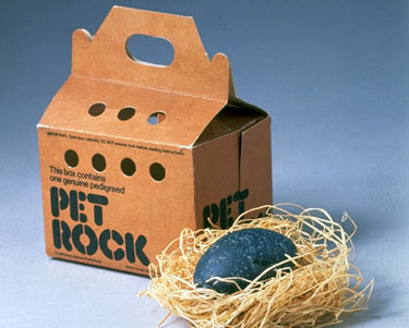 petRock1.jpg